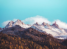 b体育下载：让热爱有迹可循的观赛之门