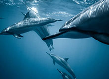 b体育下载：让热爱有迹可循的观赛之门